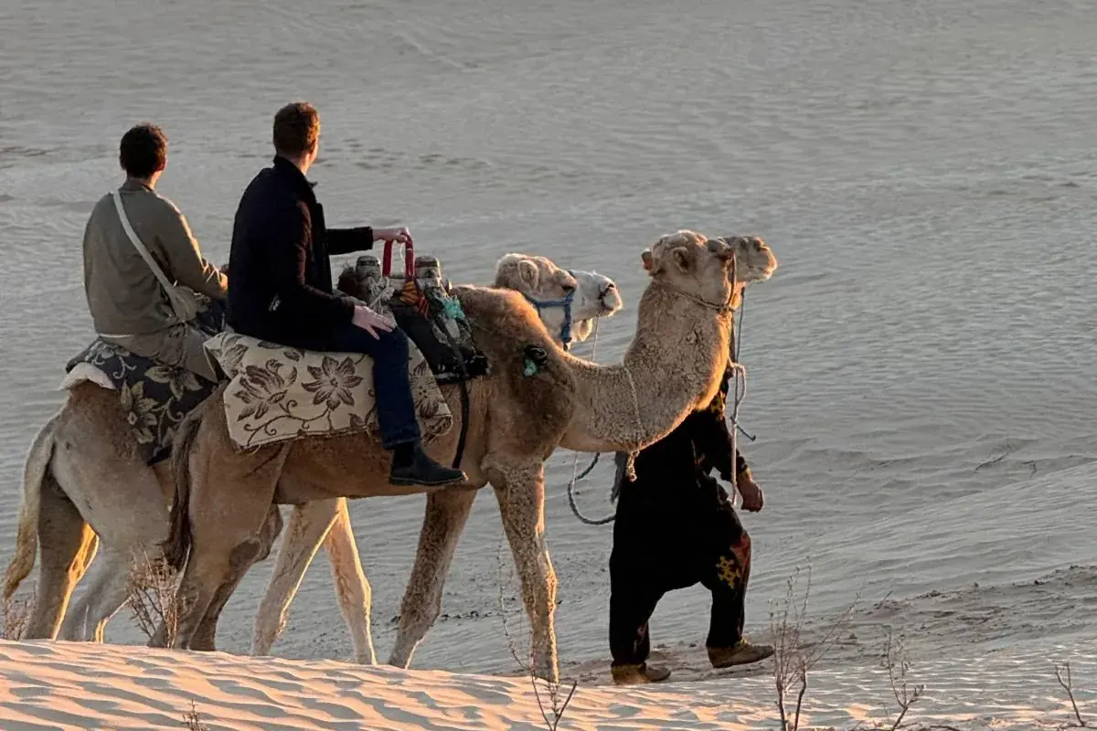 Deux nuits en bivouac au Sahara