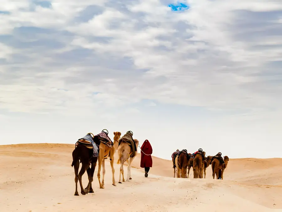 Que mettre dans sa valise pour le Sahara tunisien ?