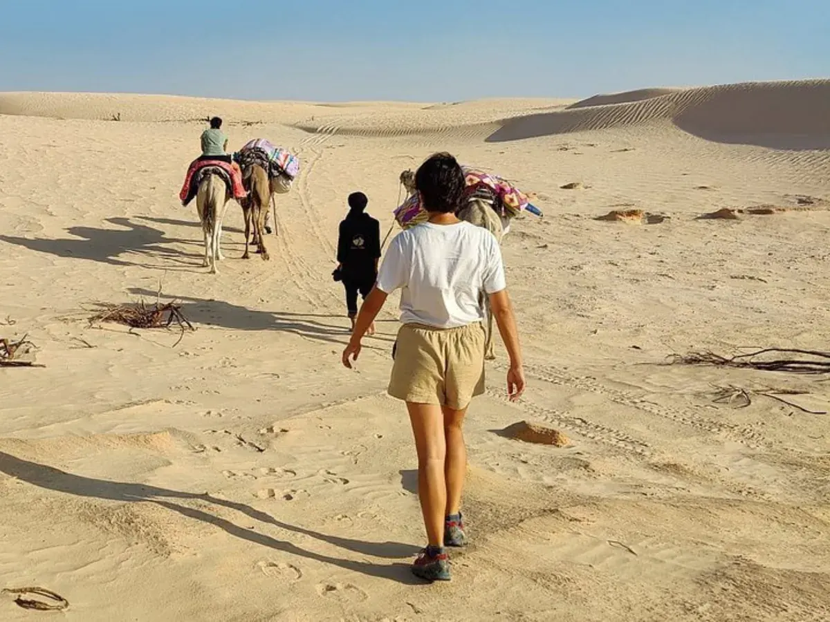 Chott El Jerid : guide complet du grand lac salé de Tunisie